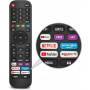 Comando alternativo Hisense EN2G30H