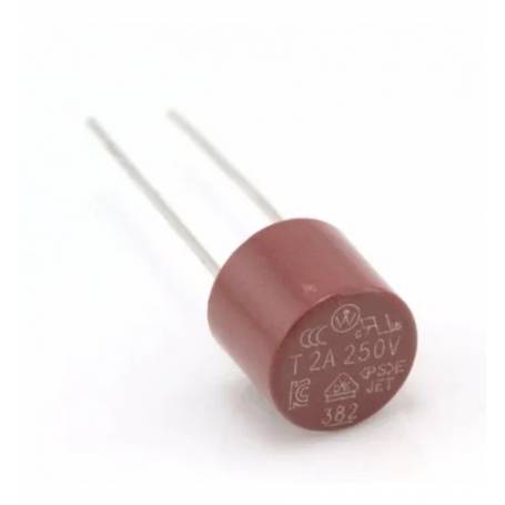 FUSIVEL T.2A 250V